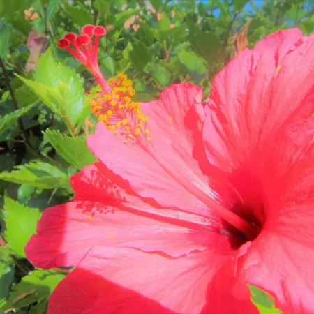 Quinta Calaca Holiday home *